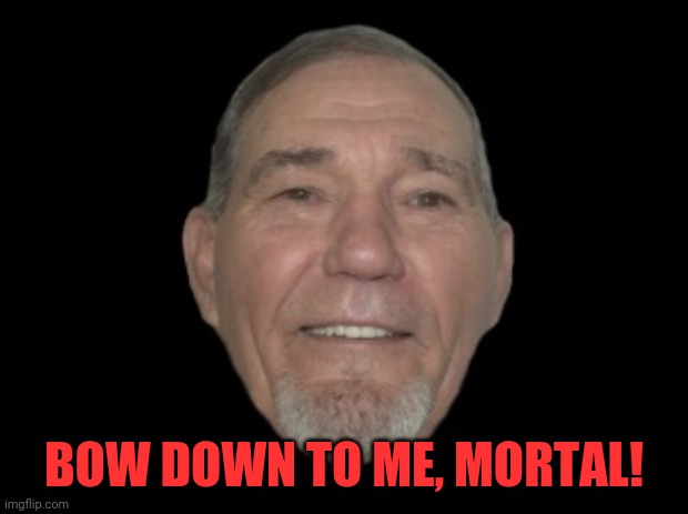 BOW DOWN! | BOW DOWN TO ME, MORTAL! | image tagged in bow down,bow | made w/ Imgflip meme maker