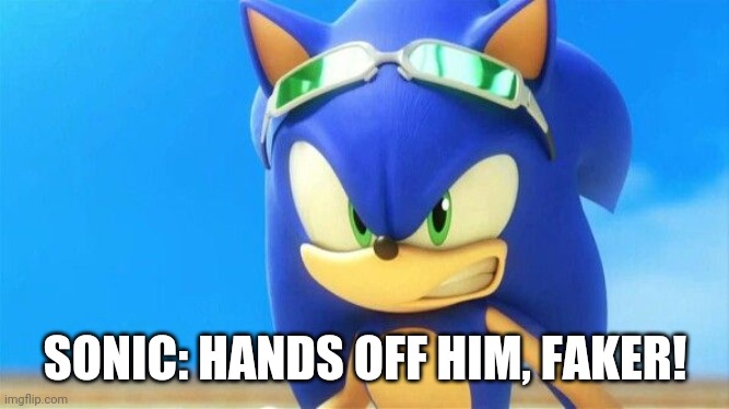 Really Angry Sonic | SONIC: HANDS OFF HIM, FAKER! | image tagged in really angry sonic | made w/ Imgflip meme maker
