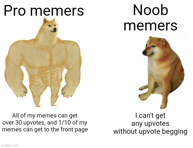 Buff Doge vs. Cheems Meme | Noob memers; Pro memers; I can't get any upvotes without upvote begging; All of my memes can get over 30 upvotes, and 1/10 of my memes can get to the front page | image tagged in memes,buff doge vs cheems | made w/ Imgflip meme maker