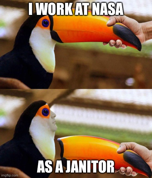Toucan Beak | I WORK AT NASA; AS A JANITOR | image tagged in toucan beak | made w/ Imgflip meme maker