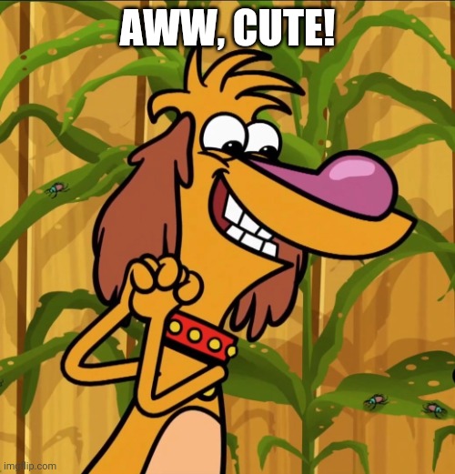 Sweet Hal (Nature Cat) | AWW, CUTE! | image tagged in sweet hal nature cat | made w/ Imgflip meme maker