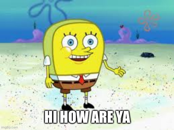 Normal spongebob | HI HOW ARE YA | image tagged in normal spongebob | made w/ Imgflip meme maker
