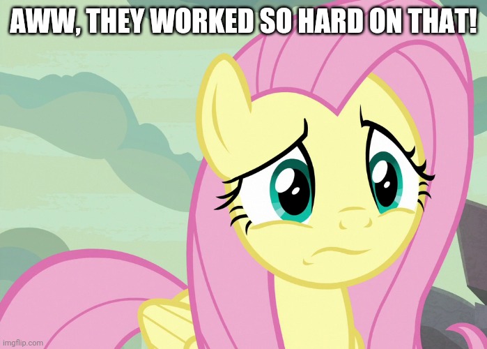 Fluttershy Was Puzzled (MLP) | AWW, THEY WORKED SO HARD ON THAT! | image tagged in fluttershy was puzzled mlp | made w/ Imgflip meme maker
