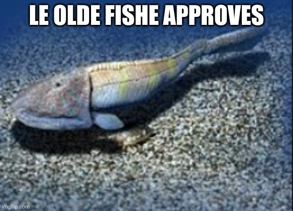 Hemicyclaspis | LE OLDE FISHE APPROVES | image tagged in hemicyclaspis | made w/ Imgflip meme maker