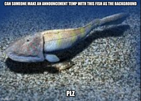*happy Tankman noises* | CAN SOMEONE MAKE AN ANNOUNCEMENT TEMP WITH THIS FISH AS THE BACKGROUND; PLZ | image tagged in hemicyclaspis | made w/ Imgflip meme maker