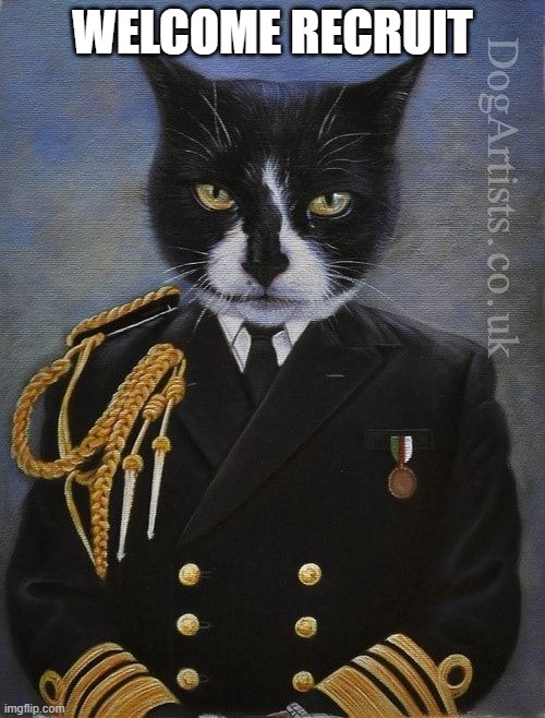 Army Cat | WELCOME RECRUIT | image tagged in military,cats | made w/ Imgflip meme maker