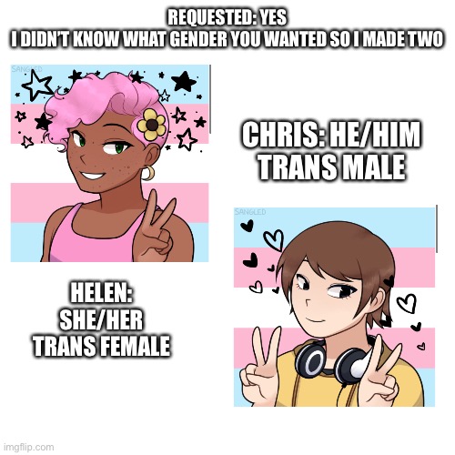 Here you go | REQUESTED: YES
I DIDN’T KNOW WHAT GENDER YOU WANTED SO I MADE TWO; CHRIS: HE/HIM TRANS MALE; HELEN: SHE/HER TRANS FEMALE | image tagged in memes,blank transparent square | made w/ Imgflip meme maker