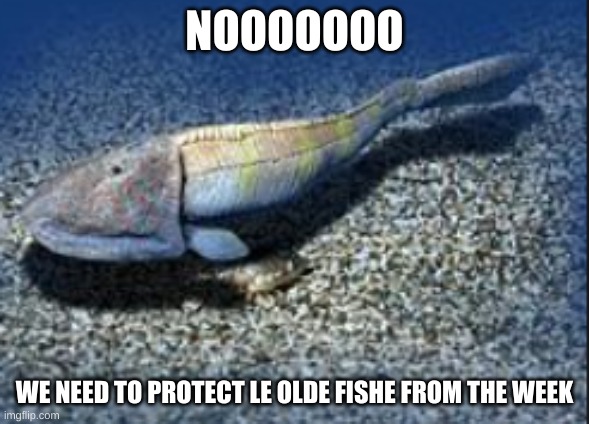 Hemicyclaspis | NOOOOOOO WE NEED TO PROTECT LE OLDE FISHE FROM THE WEEK | image tagged in hemicyclaspis | made w/ Imgflip meme maker
