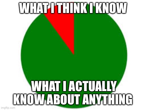 pie chart | WHAT I THINK I KNOW; WHAT I ACTUALLY KNOW ABOUT ANYTHING | image tagged in pie chart | made w/ Imgflip meme maker