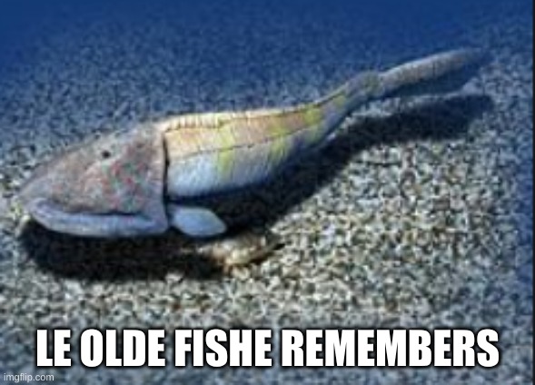 Hemicyclaspis | LE OLDE FISHE REMEMBERS | image tagged in hemicyclaspis | made w/ Imgflip meme maker