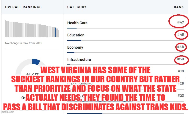 West Virginia is for Losers | WEST VIRGINIA HAS SOME OF THE SUCKIEST RANKINGS IN OUR COUNTRY BUT RATHER THAN PRIORITIZE AND FOCUS ON WHAT THE STATE ACTUALLY NEEDS, THEY FOUND THE TIME TO PASS A BILL THAT DISCRIMINATES AGAINST TRANS KIDS. | image tagged in west virginia,america,state,discrimination,transgender,trans | made w/ Imgflip meme maker