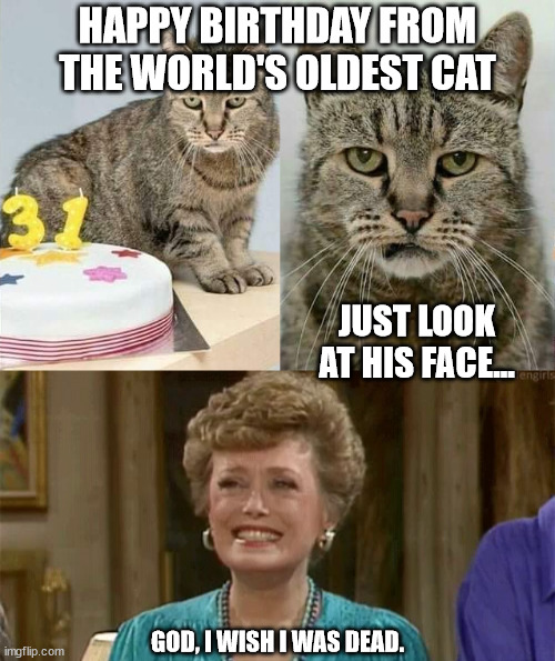30 is the new 90 | HAPPY BIRTHDAY FROM THE WORLD'S OLDEST CAT; JUST LOOK AT HIS FACE... GOD, I WISH I WAS DEAD. | image tagged in funny animals,grumpy cat,fat cat,fat asian kid,old age,grumpy cat birthday | made w/ Imgflip meme maker