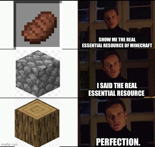Wood | SHOW ME THE REAL ESSENTIAL RESOURCE OF MINECRAFT; I SAID THE REAL ESSENTIAL RESOURCE; PERFECTION. | image tagged in show me the real | made w/ Imgflip meme maker