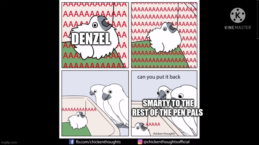 Inside joke with my friend. | DENZEL; SMARTY TO THE REST OF THE PEN PALS | image tagged in yelling birb | made w/ Imgflip meme maker