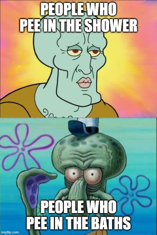 Squidward Meme | PEOPLE WHO PEE IN THE SHOWER; PEOPLE WHO PEE IN THE BATHS | image tagged in memes,squidward | made w/ Imgflip meme maker