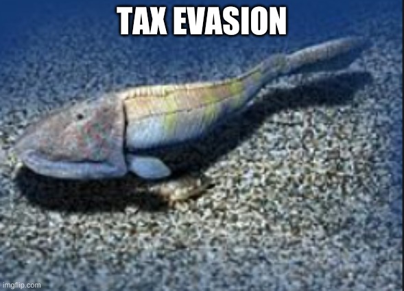 . | TAX EVASION | made w/ Imgflip meme maker