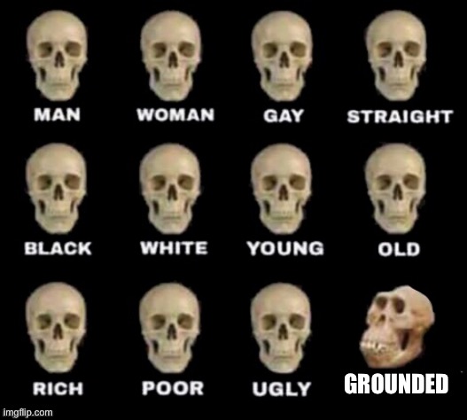 Idiot skull |  GROUNDED | image tagged in idiot skull,memes,funny,epic,grounded,skull | made w/ Imgflip meme maker