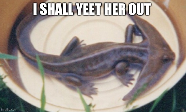 Diplocaulus | I SHALL YEET HER OUT | image tagged in diplocaulus | made w/ Imgflip meme maker