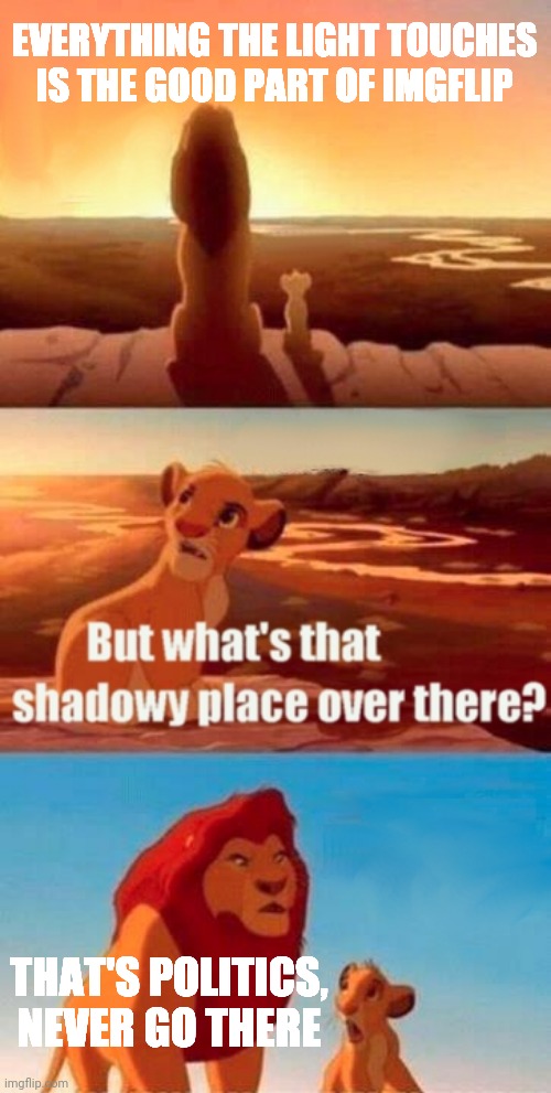 Simba Shadowy Place | EVERYTHING THE LIGHT TOUCHES IS THE GOOD PART OF IMGFLIP; THAT'S POLITICS, NEVER GO THERE | image tagged in memes,simba shadowy place | made w/ Imgflip meme maker