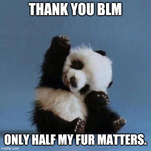 Poor pandas |  THANK YOU BLM; ONLY HALF MY FUR MATTERS. | image tagged in blm | made w/ Imgflip meme maker