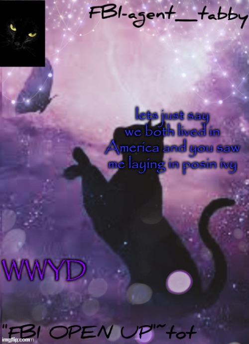 curious | lets just say we both lived in America and you saw me laying in posin ivy; WWYD | image tagged in fbi tabby's announcement temp | made w/ Imgflip meme maker