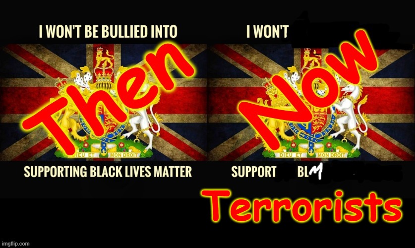 BLM - Then & Now ! | Terrorists | image tagged in terrorists | made w/ Imgflip meme maker