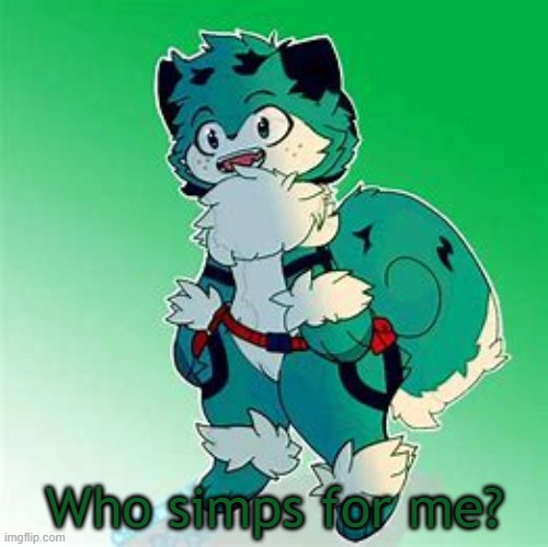 Furry deku2 | Who simps for me? | image tagged in furry deku2 | made w/ Imgflip meme maker