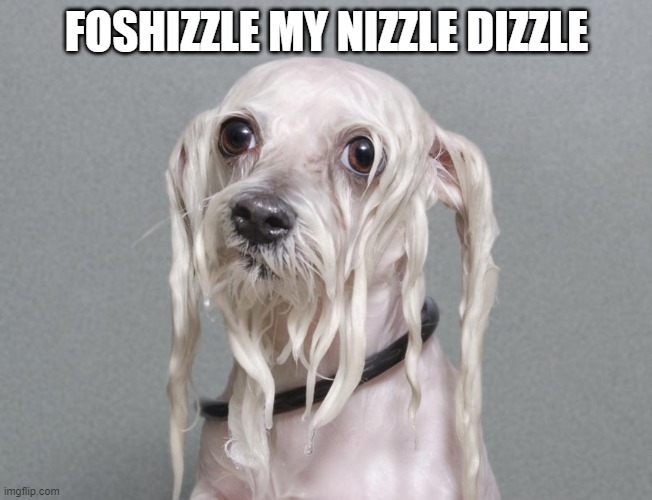 Snoop Doggy Dog | FOSHIZZLE MY NIZZLE DIZZLE | image tagged in funny dogs | made w/ Imgflip meme maker