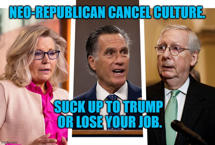 The January 6 Mob Is In Control. | NEO-REPUBLICAN CANCEL CULTURE. SUCK UP TO TRUMP 
OR LOSE YOUR JOB. | image tagged in politics | made w/ Imgflip meme maker