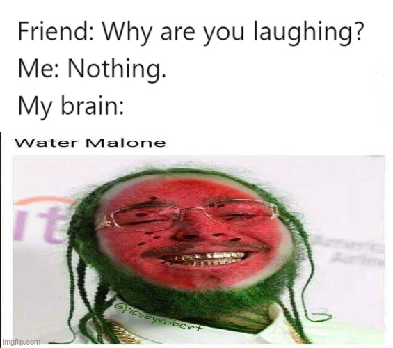 watermelone | image tagged in why are you laughing,watemelone,post malone | made w/ Imgflip meme maker