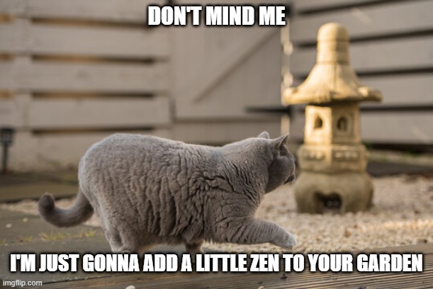 Plop Plop | DON'T MIND ME; I'M JUST GONNA ADD A LITTLE ZEN TO YOUR GARDEN | image tagged in funny cats | made w/ Imgflip meme maker