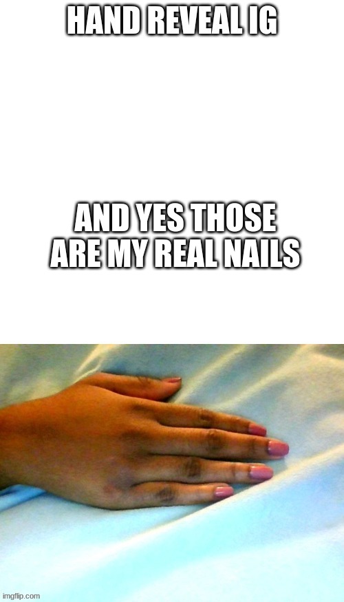 dem nails tho ._.  why they look fake | AND YES THOSE ARE MY REAL NAILS | made w/ Imgflip meme maker
