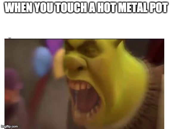 AAAARRRRGGGG | WHEN YOU TOUCH A HOT METAL POT | image tagged in shrek | made w/ Imgflip meme maker