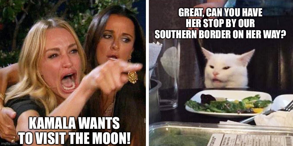 Kamala Harris | GREAT, CAN YOU HAVE HER STOP BY OUR SOUTHERN BORDER ON HER WAY? KAMALA WANTS TO VISIT THE MOON! | image tagged in smudge the cat,southern border,kamala,moon,nasa | made w/ Imgflip meme maker