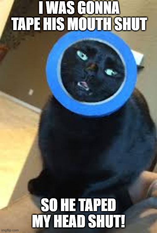 Shut Down | I WAS GONNA TAPE HIS MOUTH SHUT; SO HE TAPED MY HEAD SHUT! | image tagged in funny cat | made w/ Imgflip meme maker