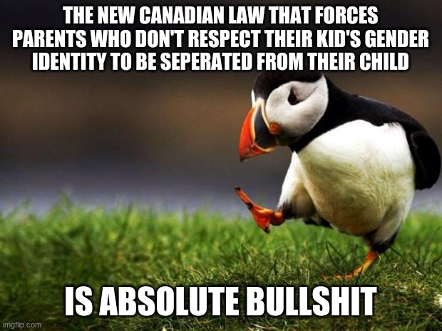 transphobia is bad, but transphobes don't deserve separation from their children. | THE NEW CANADIAN LAW THAT FORCES PARENTS WHO DON'T RESPECT THEIR KID'S GENDER IDENTITY TO BE SEPERATED FROM THEIR CHILD; IS ABSOLUTE BULLSHIT | image tagged in memes,unpopular opinion puffin | made w/ Imgflip meme maker