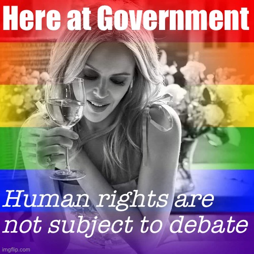 The premise of this stream is simple: We put values first. Don’t agree LGBTQ people have rights? Find another stream. | Here at Government; Human rights are not subject to debate | image tagged in kylie lgbtq wine | made w/ Imgflip meme maker