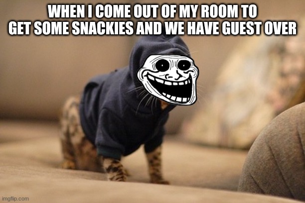 Hoody Cat | WHEN I COME OUT OF MY ROOM TO GET SOME SNACKIES AND WE HAVE GUEST OVER | image tagged in memes,hoody cat | made w/ Imgflip meme maker