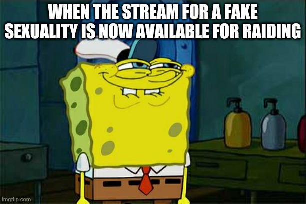 We hate the kyubeesexuals |  WHEN THE STREAM FOR A FAKE SEXUALITY IS NOW AVAILABLE FOR RAIDING | image tagged in memes,don't you squidward | made w/ Imgflip meme maker