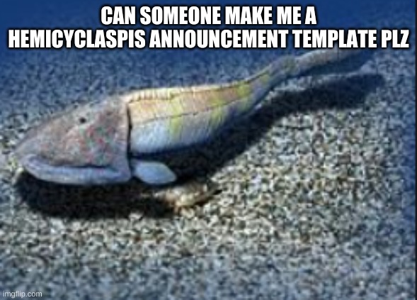 Hemicyclaspis | CAN SOMEONE MAKE ME A HEMICYCLASPIS ANNOUNCEMENT TEMPLATE PLZ | image tagged in hemicyclaspis | made w/ Imgflip meme maker