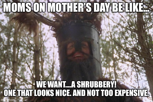 Mother’s Day Shrubbery | MOMS ON MOTHER’S DAY BE LIKE... WE WANT....A SHRUBBERY!
ONE THAT LOOKS NICE. AND NOT TOO EXPENSIVE. | image tagged in moms,happy mother's day,funny memes,plants,monty python,knights who say ni | made w/ Imgflip meme maker