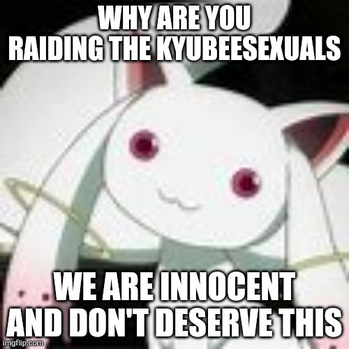 Stop bullying us |  WHY ARE YOU RAIDING THE KYUBEESEXUALS; WE ARE INNOCENT AND DON'T DESERVE THIS | made w/ Imgflip meme maker