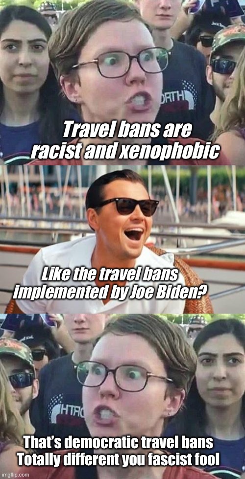 Democratic xenophobia is good | Travel bans are racist and xenophobic; Like the travel bans implemented by Joe Biden? That’s democratic travel bans  Totally different you fascist fool | image tagged in triggered liberal,memes,leonardo dicaprio wolf of wall street,politics lol,joe exotic,idiots | made w/ Imgflip meme maker