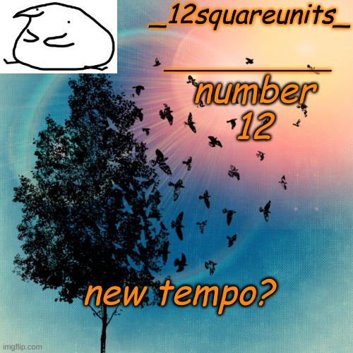 Bird background | _12squareunits_; _____________; number 12; new tempo? | image tagged in bird background | made w/ Imgflip meme maker