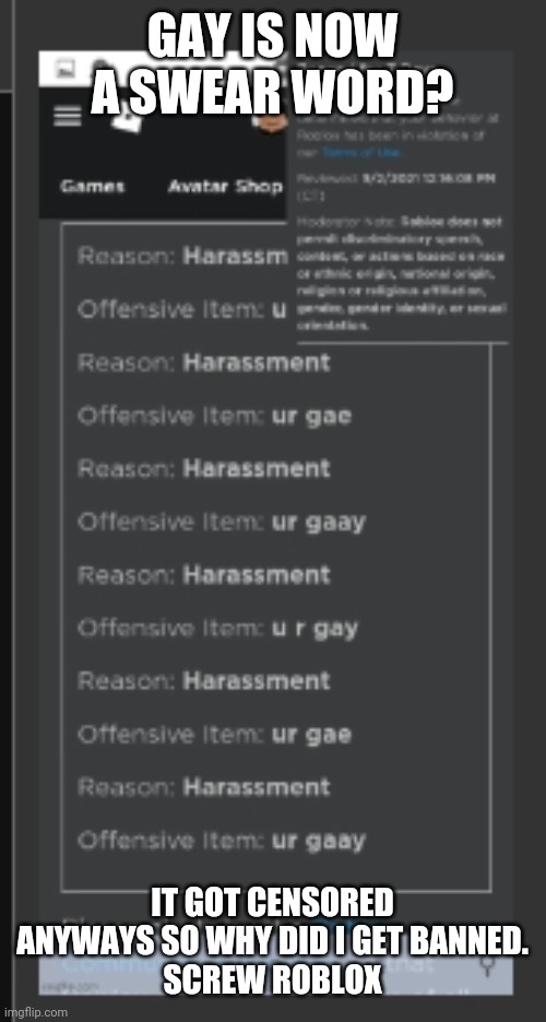 GAY IS NOW A SWEAR WORD? IT GOT CENSORED ANYWAYS SO WHY DID I GET BANNED.
SCREW ROBLOX | made w/ Imgflip meme maker