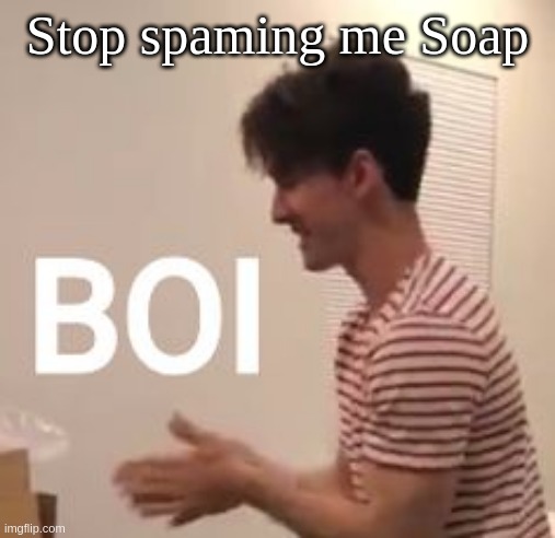 Flamingo boi | Stop spaming me Soap | image tagged in flamingo boi | made w/ Imgflip meme maker