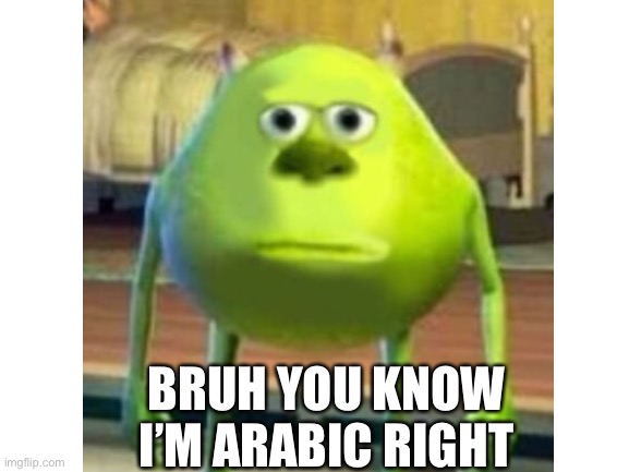 BRUH YOU KNOW I’M ARABIC RIGHT | made w/ Imgflip meme maker