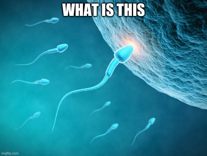 WHAT IS THIS | made w/ Imgflip meme maker