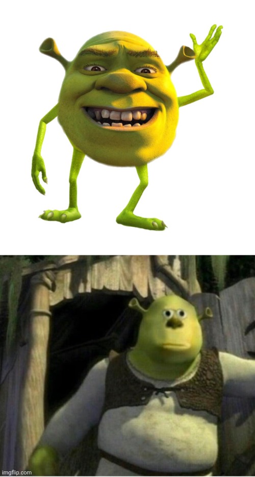 Which is shrek wazowski | made w/ Imgflip meme maker