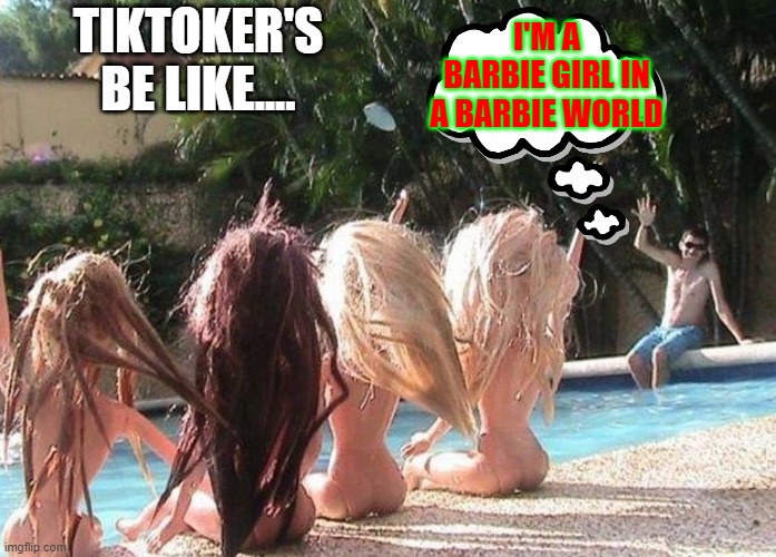 Pool Party |  TIKTOKER'S BE LIKE.... I'M A BARBIE GIRL IN A BARBIE WORLD | image tagged in pool party,memes,funny,funny memes,hilarious | made w/ Imgflip meme maker
